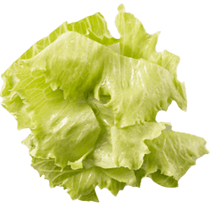 Lettuce