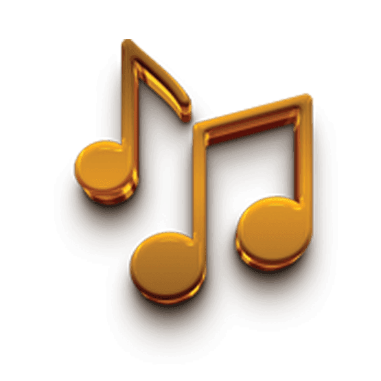 Chicken Cheese Burger and Full Chicken