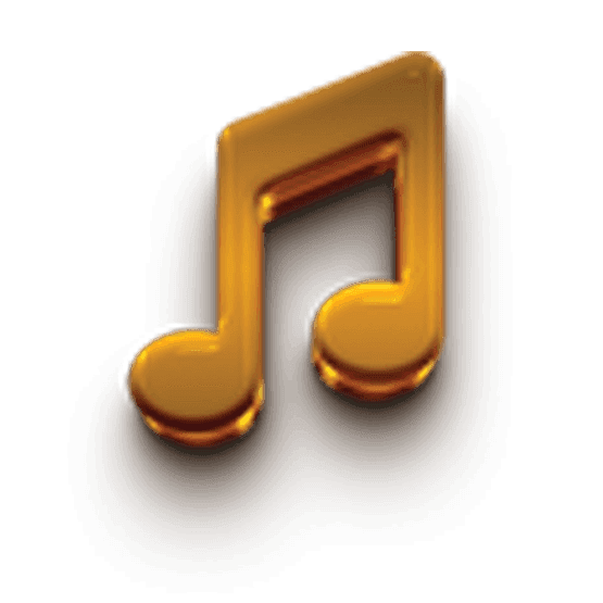 Chicken Cheese Burger and Full Chicken