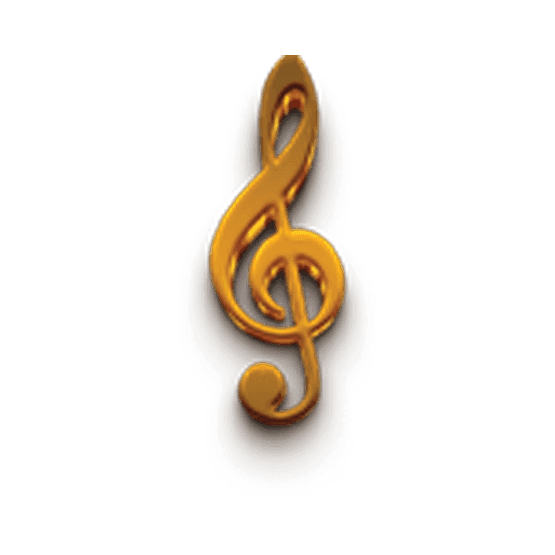 Chicken Cheese Burger and Full Chicken